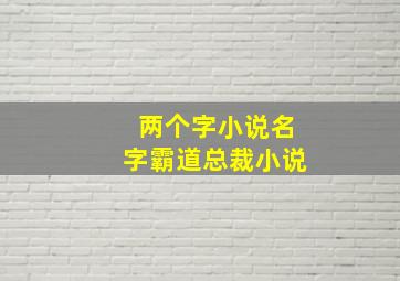 两个字小说名字霸道总裁小说