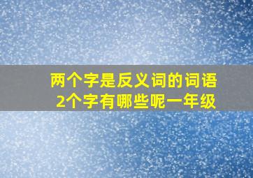 两个字是反义词的词语2个字有哪些呢一年级