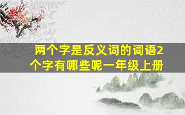 两个字是反义词的词语2个字有哪些呢一年级上册