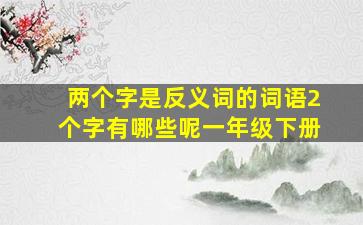 两个字是反义词的词语2个字有哪些呢一年级下册