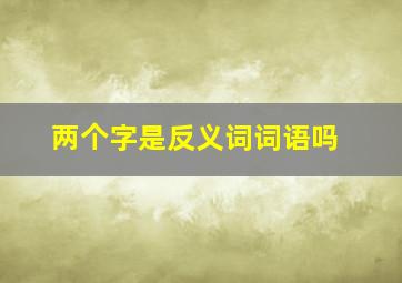 两个字是反义词词语吗