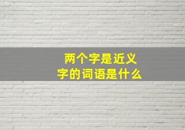 两个字是近义字的词语是什么