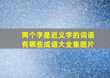 两个字是近义字的词语有哪些成语大全集图片