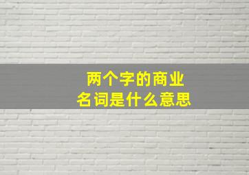 两个字的商业名词是什么意思