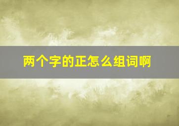 两个字的正怎么组词啊