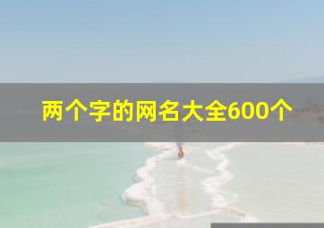 两个字的网名大全600个