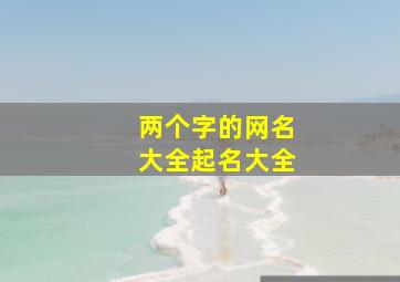 两个字的网名大全起名大全