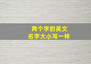 两个字的英文名字大小写一样