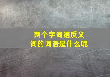 两个字词语反义词的词语是什么呢