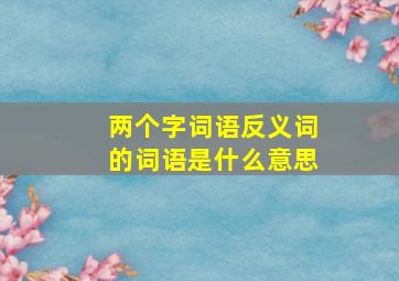 两个字词语反义词的词语是什么意思