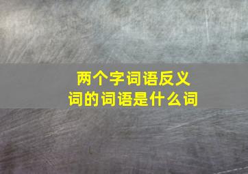 两个字词语反义词的词语是什么词