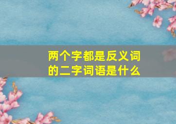 两个字都是反义词的二字词语是什么