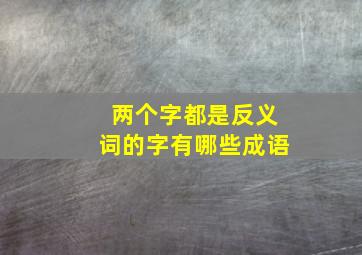 两个字都是反义词的字有哪些成语