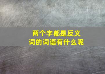 两个字都是反义词的词语有什么呢