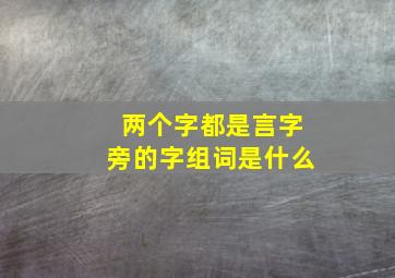 两个字都是言字旁的字组词是什么