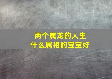 两个属龙的人生什么属相的宝宝好