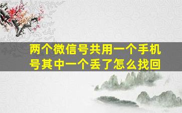 两个微信号共用一个手机号其中一个丢了怎么找回