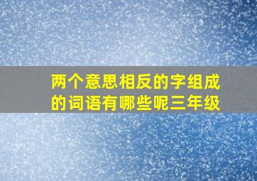 两个意思相反的字组成的词语有哪些呢三年级