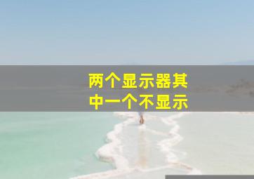 两个显示器其中一个不显示