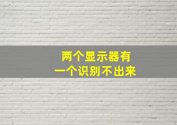 两个显示器有一个识别不出来