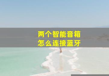 两个智能音箱怎么连接蓝牙