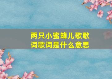 两只小蜜蜂儿歌歌词歌词是什么意思