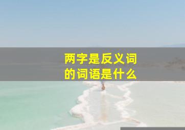 两字是反义词的词语是什么