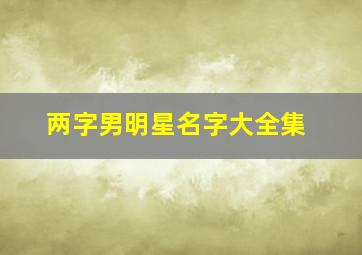 两字男明星名字大全集