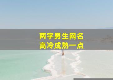 两字男生网名高冷成熟一点