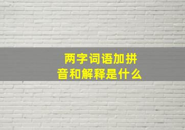 两字词语加拼音和解释是什么