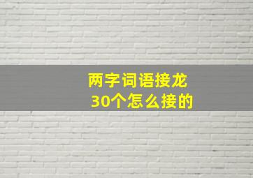 两字词语接龙30个怎么接的