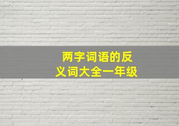 两字词语的反义词大全一年级