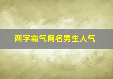 两字霸气网名男生人气