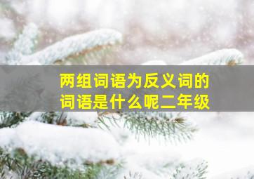 两组词语为反义词的词语是什么呢二年级