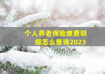 个人养老保险缴费明细怎么查询2023