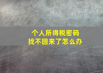 个人所得税密码找不回来了怎么办