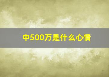 中500万是什么心情