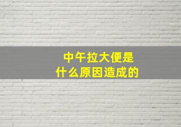 中午拉大便是什么原因造成的