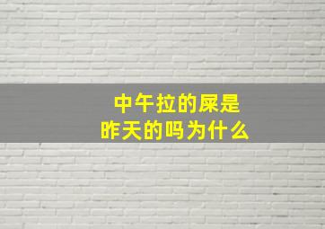 中午拉的屎是昨天的吗为什么