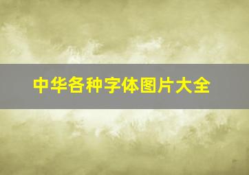 中华各种字体图片大全