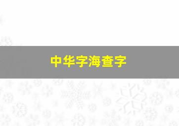 中华字海查字