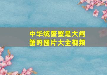 中华绒螯蟹是大闸蟹吗图片大全视频