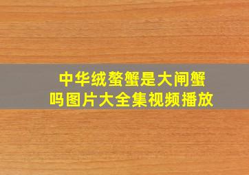 中华绒螯蟹是大闸蟹吗图片大全集视频播放