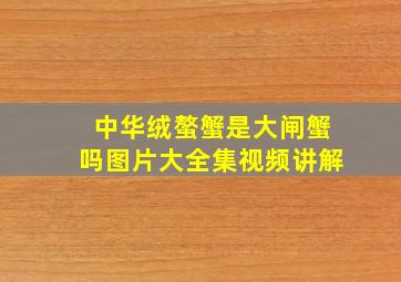 中华绒螯蟹是大闸蟹吗图片大全集视频讲解