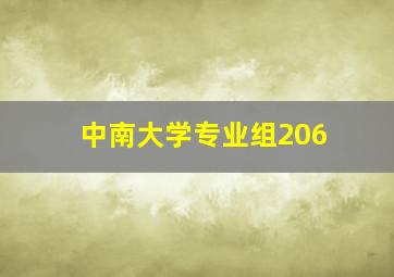 中南大学专业组206