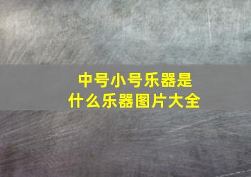 中号小号乐器是什么乐器图片大全