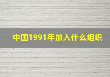 中国1991年加入什么组织