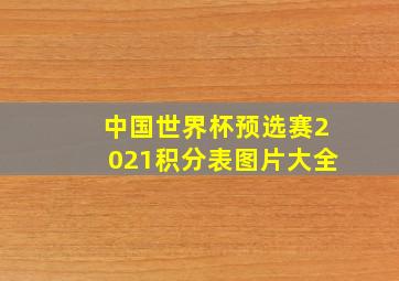 中国世界杯预选赛2021积分表图片大全