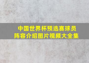 中国世界杯预选赛球员阵容介绍图片视频大全集