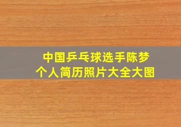 中国乒乓球选手陈梦个人简历照片大全大图